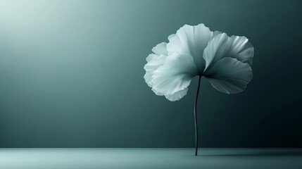Serene Teal Flower Minimalist Background