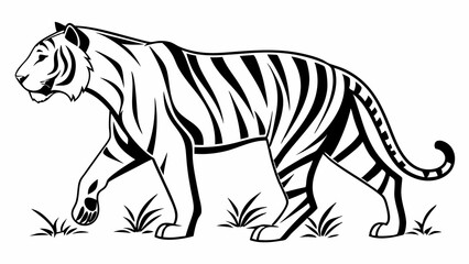 Obraz premium Graceful Tiger Line Art Illustration Black and White Wildlife Sketch of a Striped Big Cat Walking in Nature