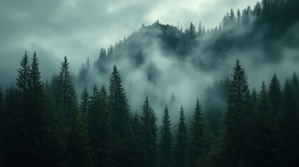Dense forest on a mountain with mist and atmospheric clouds