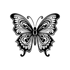 Vector butterflies. Monarch butterfly. Vector illustration