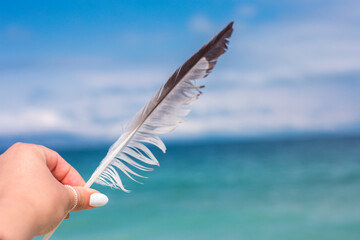 feather in woman hand nature background