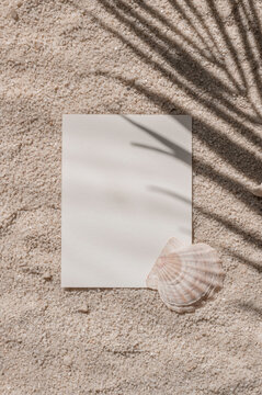 Aesthetic summer tropical business branding template, invitation design, blank paper card with mockup copy space and sea shells on beach sand texture with palm tree foliage sunlight shadow