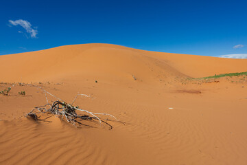Waves of sand dunes in Utah.
