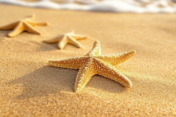 Close-Up View of Starfish on Soft Sandy Beach Under Gentle Waves of Clear Blue Ocean