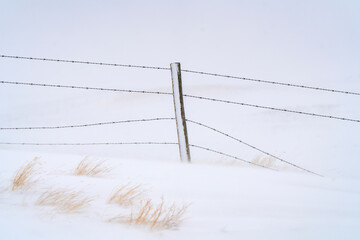 Barbed wire fence covered by snow in winter landscape