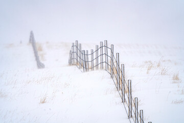 Wire fences stretching across snowy landscape in winter