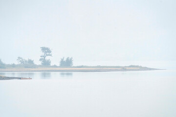 Fog covering a lake shore and trees on a misty morning