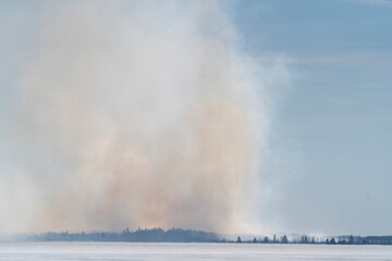 Forest fire burning with large smoke plume rising into sky
