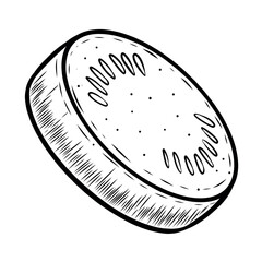 Vector illustration of zucchini, slices. Hand drawn vegetables and fresh healthy food. Farm product. Black and white illustration for menu design, textiles, recipes. Isolated on a white background.