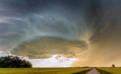Supercell storm cloud forming over canola field at sunset