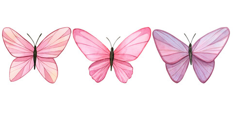 A set of delicate pink butterflies. Watercolor hand painted illustration. Isolated elements on a white background. For wedding and birthday design, invitational and greeting cards.