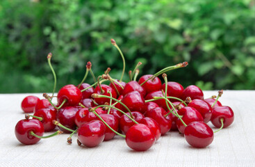 Red juicy sweet cherries on table on a green nature blur background with space for text