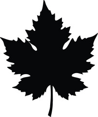 Naklejka premium Maple Leaf silhouette vector illustration isolated white background. Crisp Silhouette of a Maple Leaf – Iconic Nature Symbol Representing Canadian Heritage and Autumn Vibes