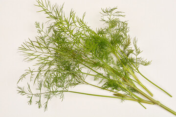 A close-up shot of fresh dill sprigs laid out against a white background