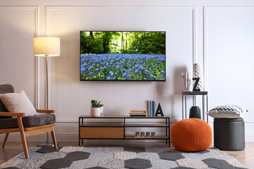 TV set with nature landscape on screen in room