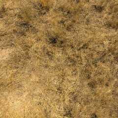 nadir texture and full-frame background, directly above view