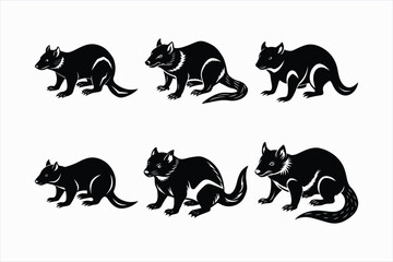 Set of Tasmanian devil animal vector illustration.