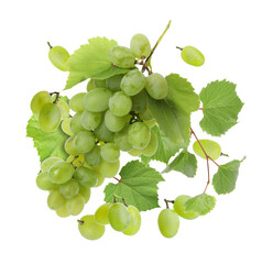 Fresh grapes in air on white background