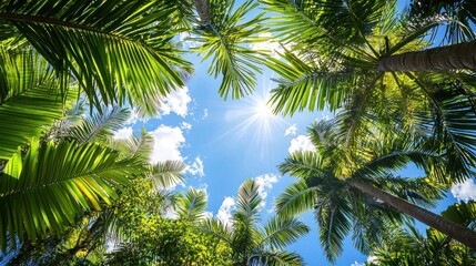 Fototapeta premium Tropical paradise Sun shining through lush palm leaves and blue sky.