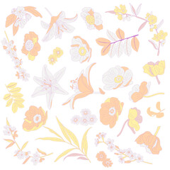 Vector illustration of  flowers, lilies and leaves isolated on white background. Elegant floral elements for invitations, greeting cards, botanical designs, fabric patterns, decorative projects.