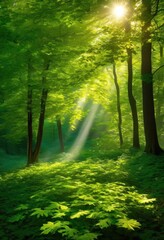 Obraz premium vibrant sunlit leaves constructing dreamy canopy enchanting forest, sunlight, vibrancy, colors, branches, greenery, shade, illumination, foliage