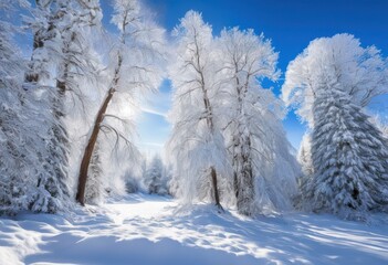 Fototapeta premium majestic snowy trees stand tall serene winter landscape filled soft white snow calm blue sky, adventure, air, atmosphere, beauty, bright, chilly, clear