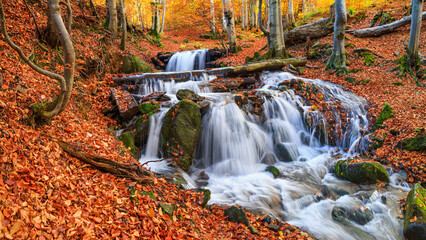 Autumn landscape - view of a mountain river with a cascade of waterfallsin the autumn forest,...