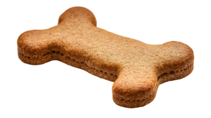 Bone biscuit for dog isolated on white background