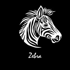 Zebra animal illustration, nature conservation vector black and white stripes. hand drawing. Not AI, Vector illustration.