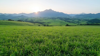 Fototapeta premium Sunrise over rolling green hills and mountains (3)