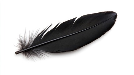 Close-up of a single black feather on a white background with delicate wisps at the base. Generative AI