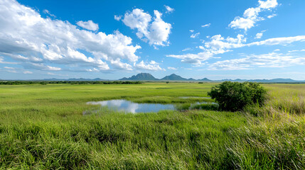 Obraz premium Serene savanna landscape tranquil pond, lush grass, distant mountains under a blue sky. Ideal for travel brochures