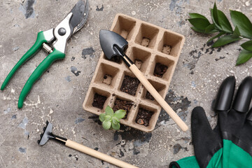Gardening supplies and seed tray with seedling on grey grunge background. Closeup