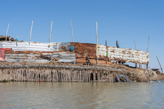 Reed house of Marsh Arabs, Mesopotamian Marshes, Ahwar of southern Iraq, Unesco site, Iraq
