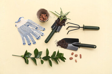 Gardening supplies with plant on beige background. Top view
