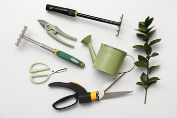 Gardening tools with plant on white background. Top view