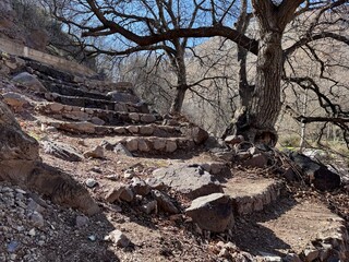 Walnut trees and steps in mountain landscape near village of Imlil near Marrakesh Morocco