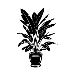 Black silhouette of a potted plant with broad leaves, displayed on a white background. Bird of Paradise. Minimalist concept of indoor greenery