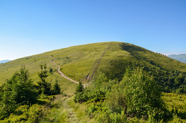 Beautiful grassy hill under clear sky with winding trail, surrounded by lush green vegetation,...
