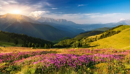 "Vibrant Wildflower Fields Blooming in Majestic Mountain Landscape"