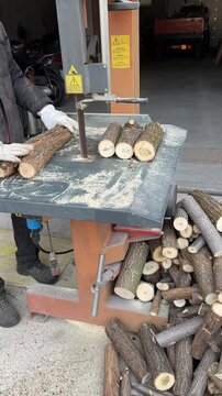 Saw for cutting wood, firewood cutter, 