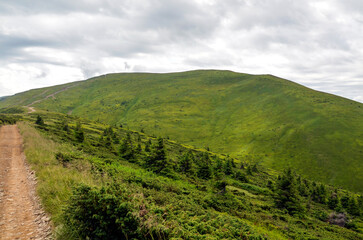 Beautiful green mountain landscape showcasing serene hiking trail leading through lush scenery...