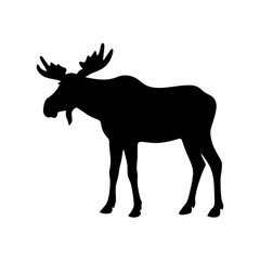 a majestic moose silhouette standing in a defiant pose with impressive antlers vector illustration