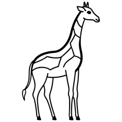 Obraz premium a giraffe illustration. The giraffe has long legs and neck vector illustration