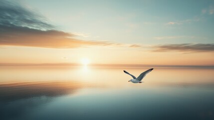 Serene sunset over calm water with a seagull in flight.