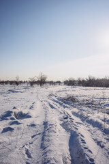 Winter fields  with sun in the sky,blue colors,cold and frozen atmosphere , road and path on the snow,trees covered snow.Beautiful landscape at the winter day 