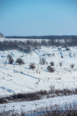 Winter fields  with sun in the sky,blue colors,cold and frozen atmosphere , road and path on the snow,trees covered snow.Beautiful landscape at the winter day 