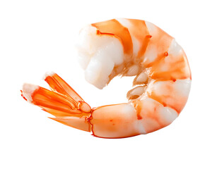 cooked peeled shrimp on transparent background