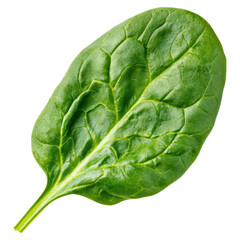 Obraz premium Fresh spinach leaf with rich green color and texture , isolated on transparent background
