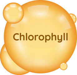 chlorophyll